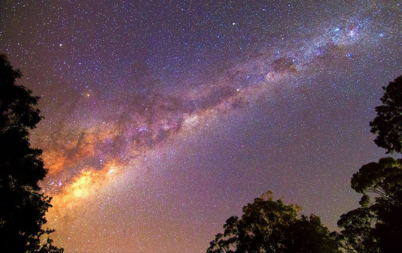 Milky Way Galaxy framed by trees